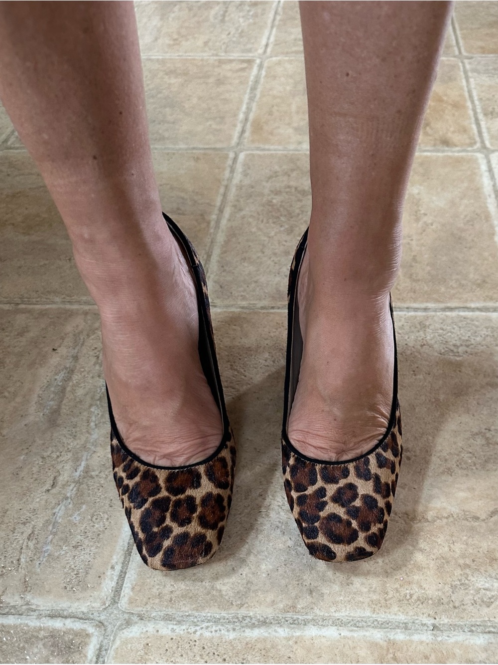 Ann Taylor Leopard Print Pointed-Toe Heels - Brown/Black
